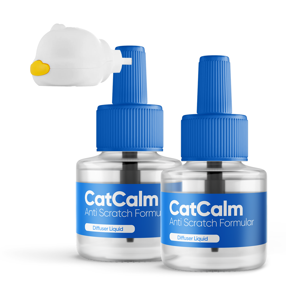 CatCalm Anti Scratch Formula